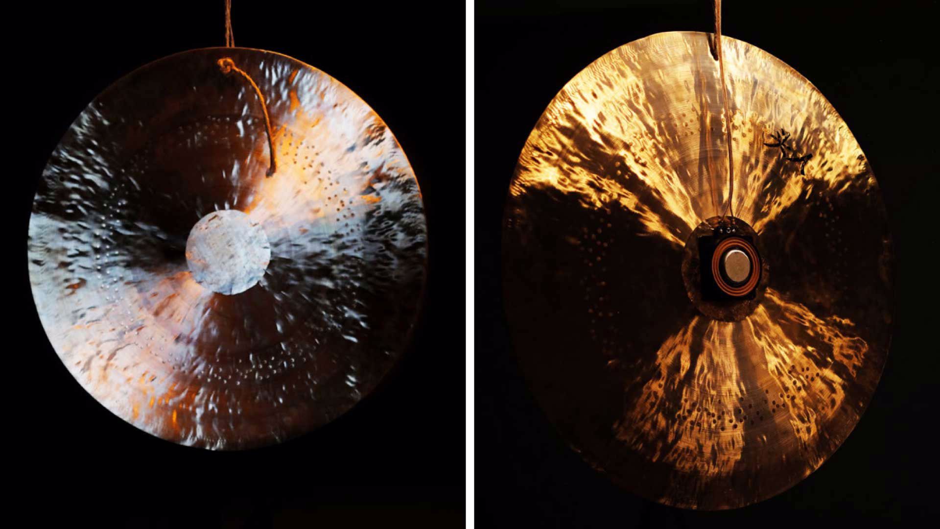 exposição Poetry as an Echological Survival